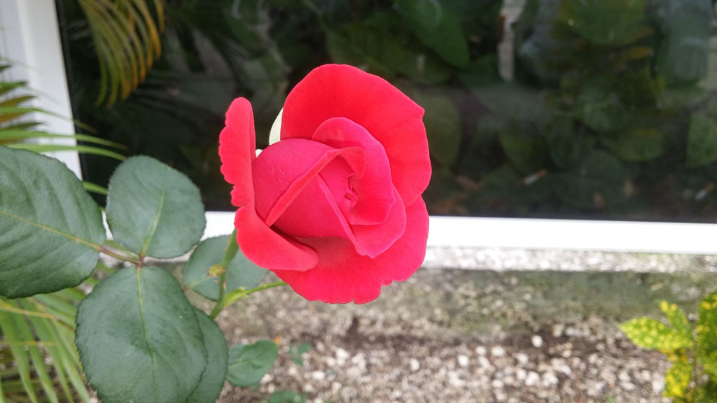 universidadde holguin-14 de febrero