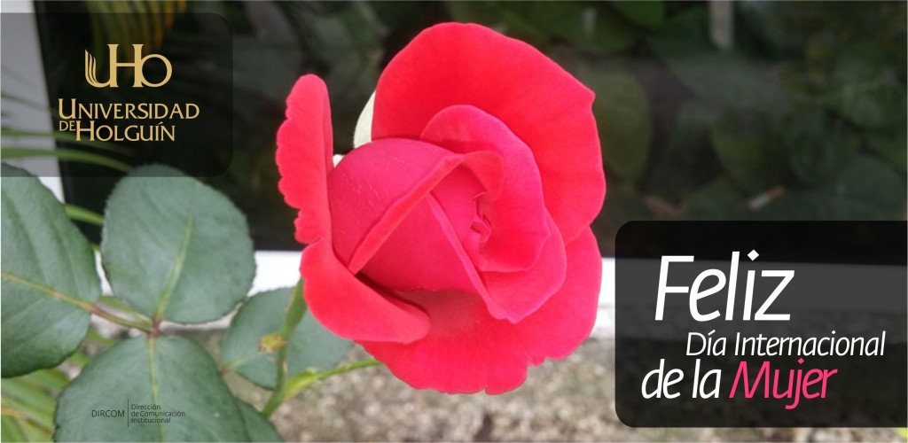 postal-mujer-internet-uho