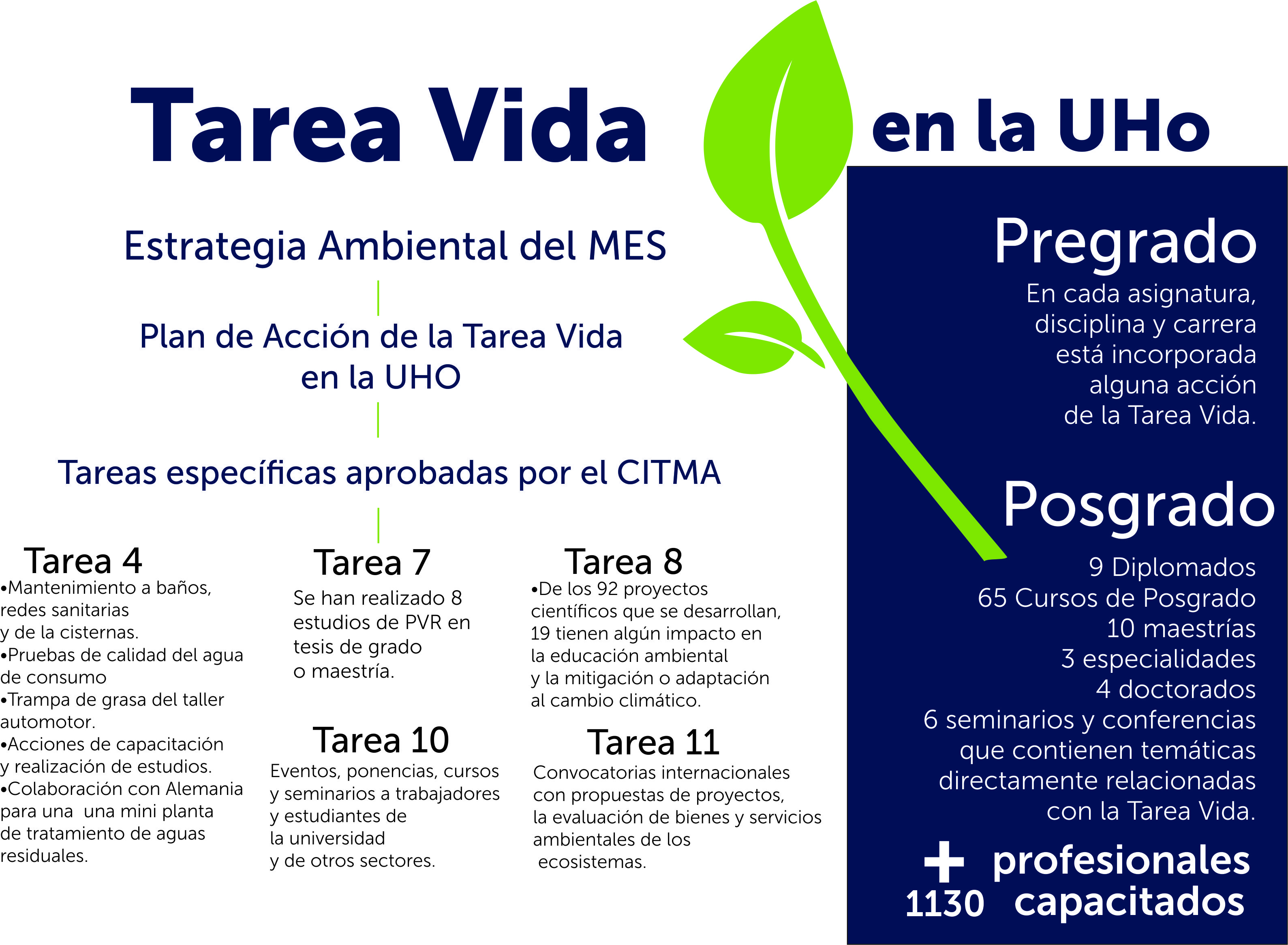 Tarea Vida info