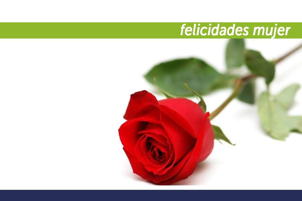 postal día de la mujer